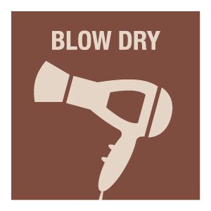 Blow Dry
